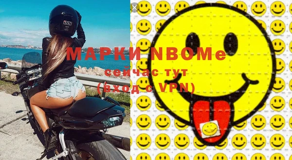 индика Карпинск