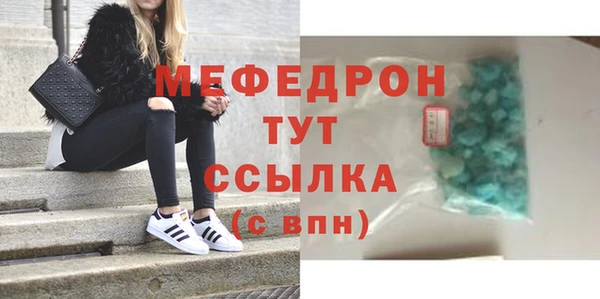 индика Карпинск