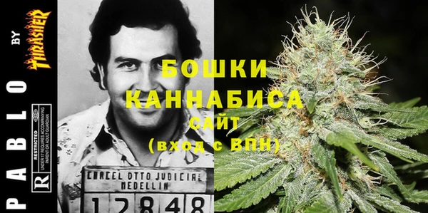 индика Карпинск