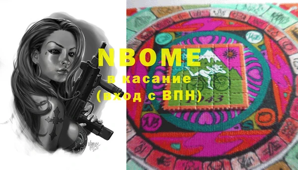 индика Карпинск