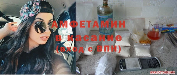 индика Карпинск