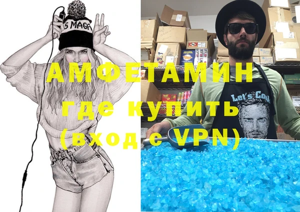 индика Карпинск