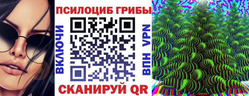 Псилоцибиновые грибы MAGIC MUSHROOMS  Купить где  Никольск 